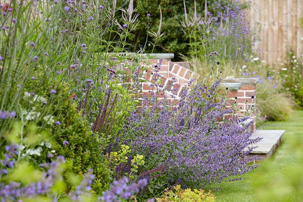 Hamphire landscape design project planting