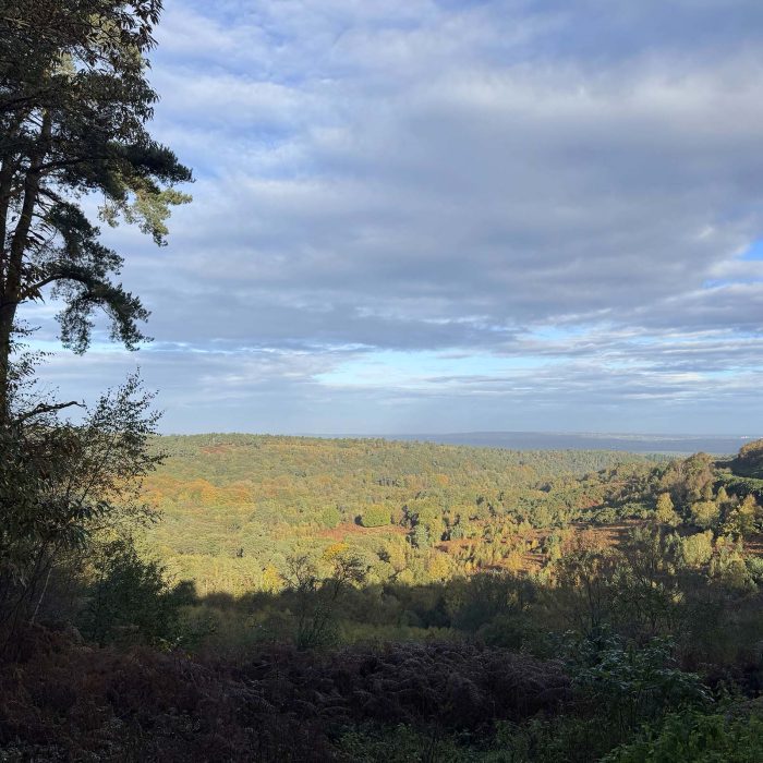surrey countryside view from hindhead common
